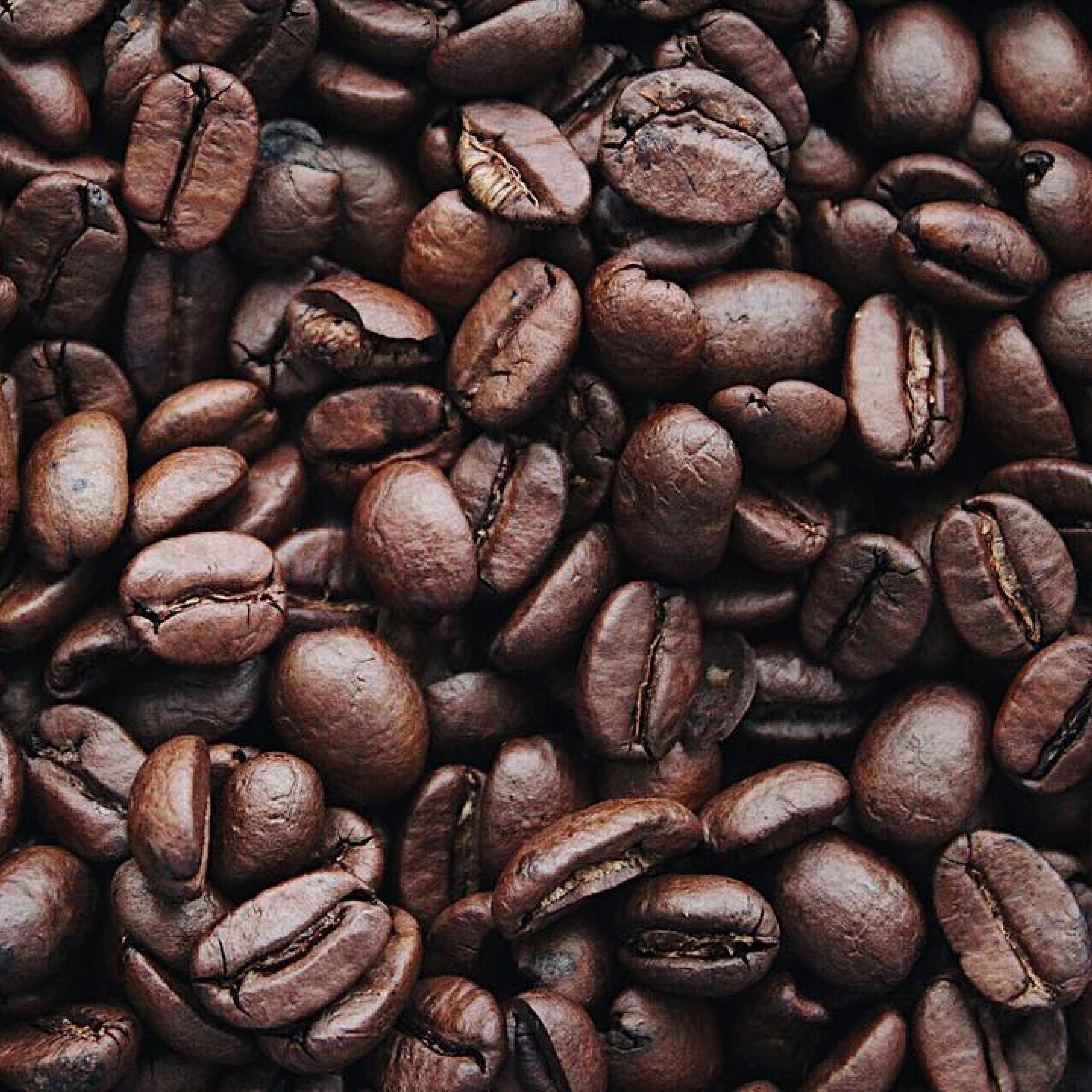 Ethiopian Yirgacheffe Coffee Beans image 2